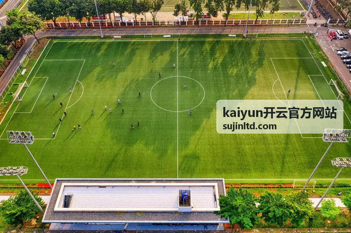 kaiyun开云官方网站业务系统上云与接口打通服务