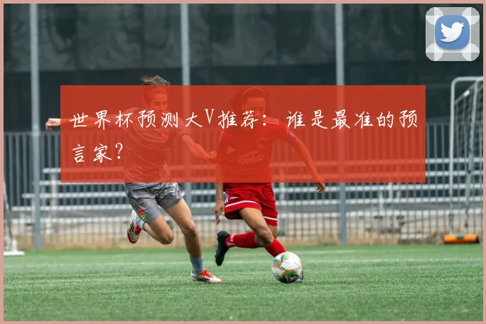 世界杯预测大V推荐：谁是最准的预言家？