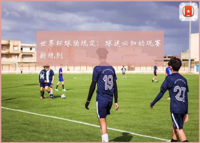 世界杯球场规定:球迷必知的观赛新规则