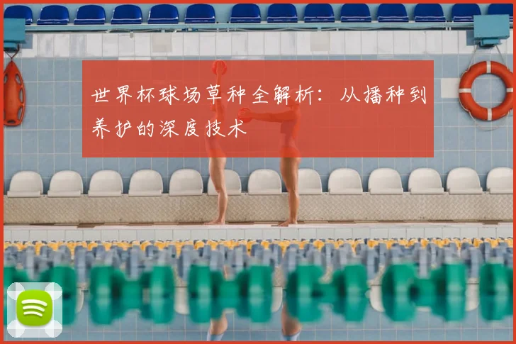 世界杯球场草种全解析:从播种到养护的深度技术