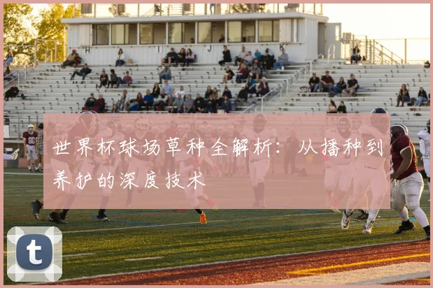 世界杯球场草种全解析:从播种到养护的深度技术