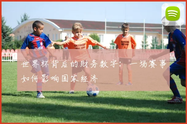 世界杯背后的财务数字：一场赛事如何影响国家经济