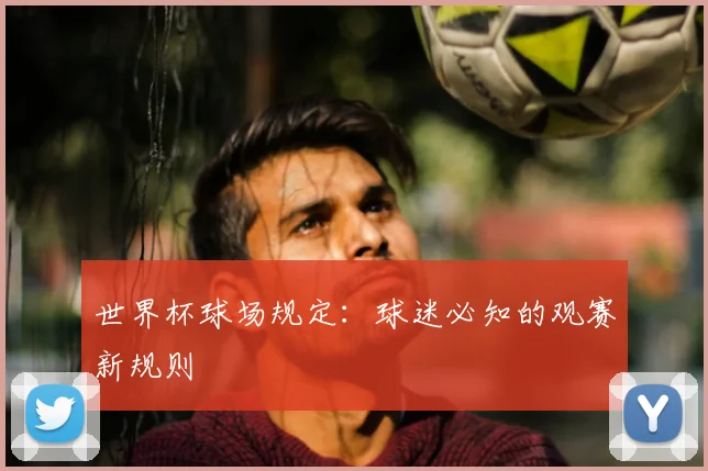 世界杯球场规定:球迷必知的观赛新规则