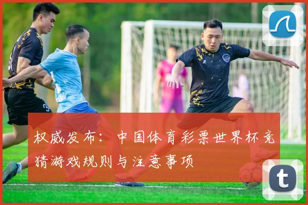 权威发布：中国体育彩票世界杯竞猜游戏规则与注意事项